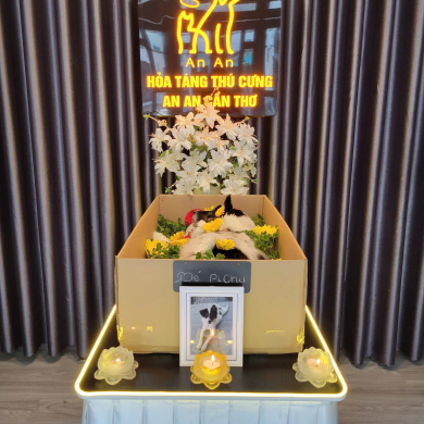 LẤY TRO NÂNG CAO